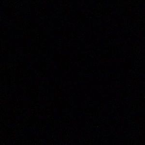 Meet your Posher, Shaun